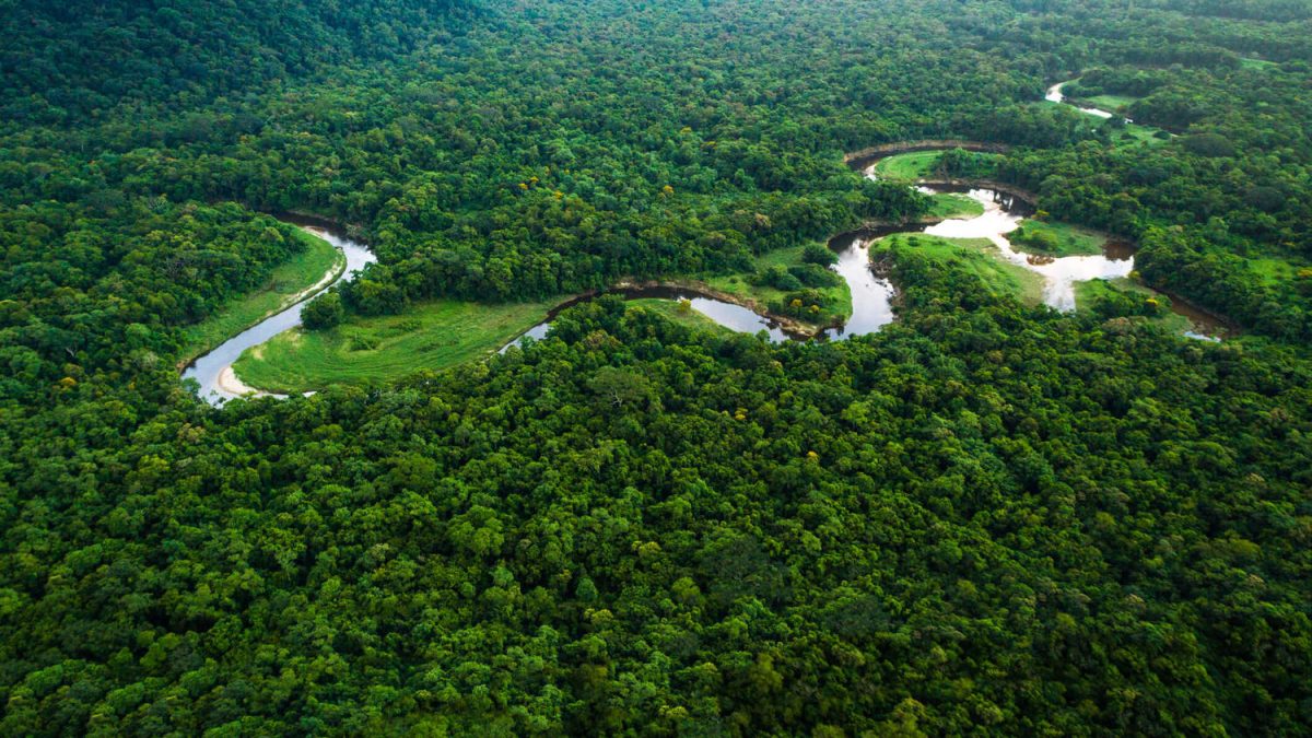 sustentabilidade na Amazônia