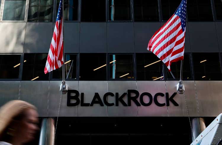 Pesquisa da BlackRock indica aceleração do investimento sustentável