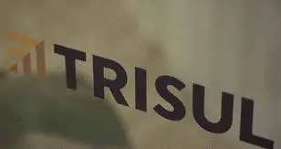 Trisul (TRIS3) reporta lucro líquido de R$55 mi, e aprova recompra de ações 