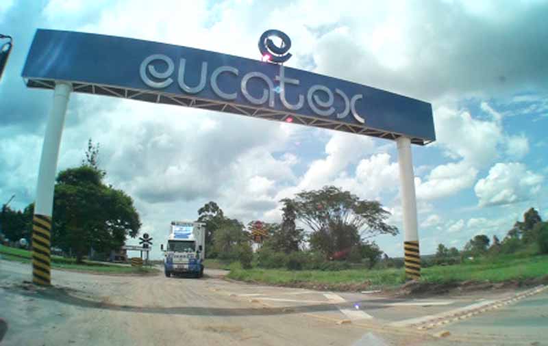 Eucatex reporta lucro líquido de R$616 mi no 1º tri de 2021, alta de 37,4%