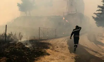 Argélia: número de mortos em incêndios sobe para 42