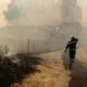 Argélia: número de mortos em incêndios sobe para 42