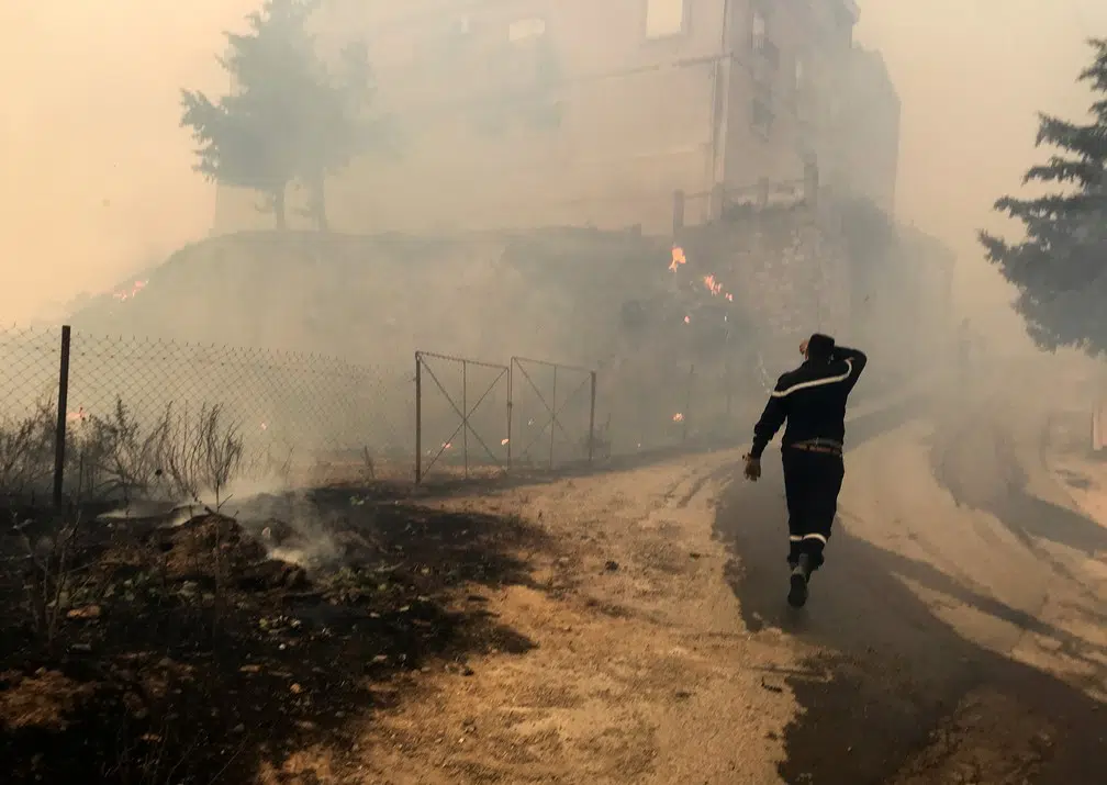 Argélia: número de mortos em incêndios sobe para 42