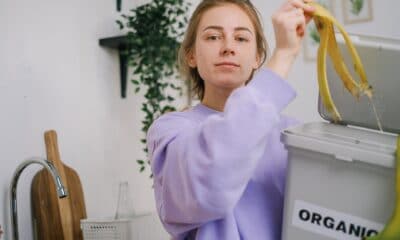 Aprenda a fazer uma composteira caseira e reutilize o lixo orgânico em adubo