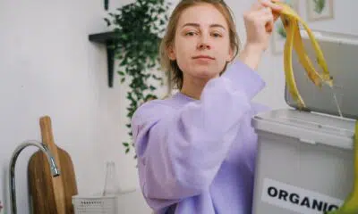 Aprenda a fazer uma composteira caseira e reutilize o lixo orgânico em adubo