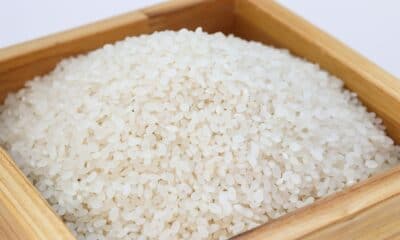 Você sabia que existem mais de 5 tipos diferentes de arroz? Saiba mais sobre eles! (20/03)