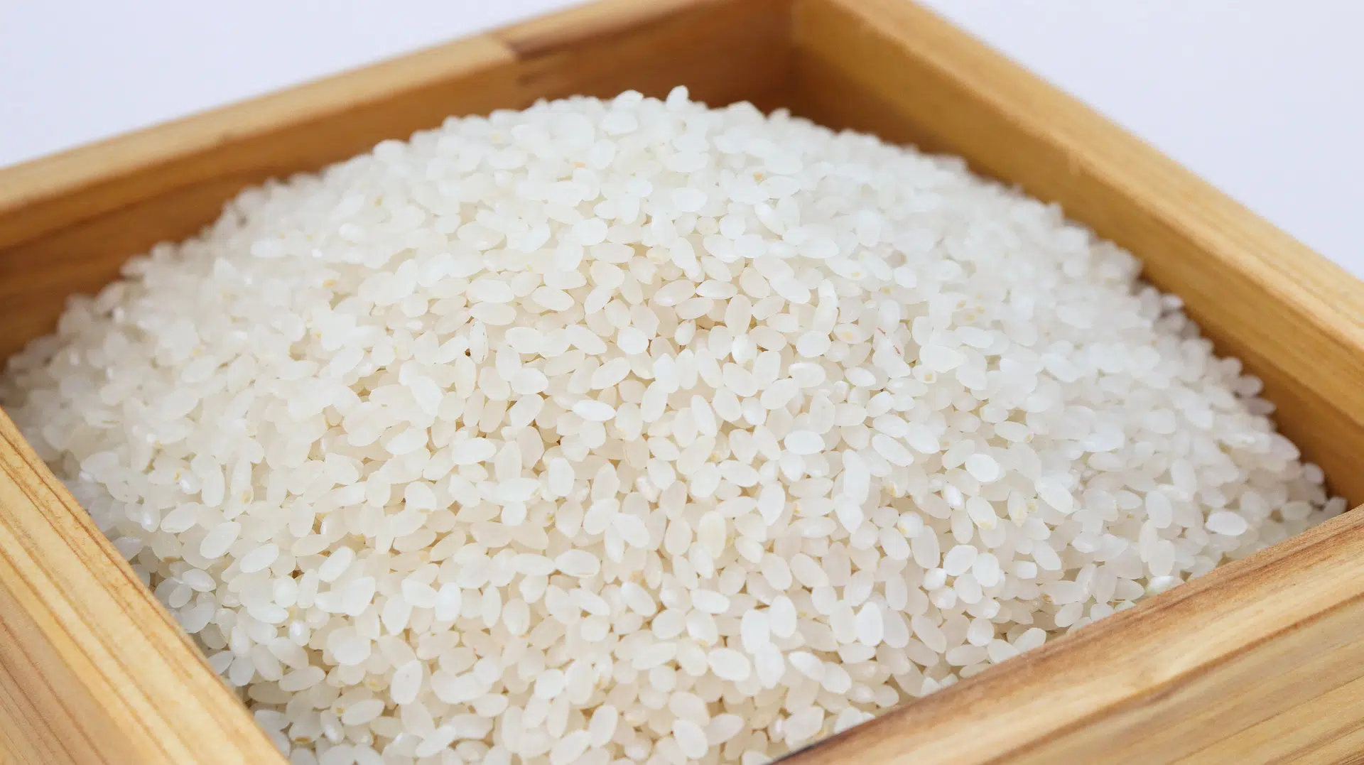 Você sabia que existem mais de 5 tipos diferentes de arroz? Saiba mais sobre eles! (20/03)