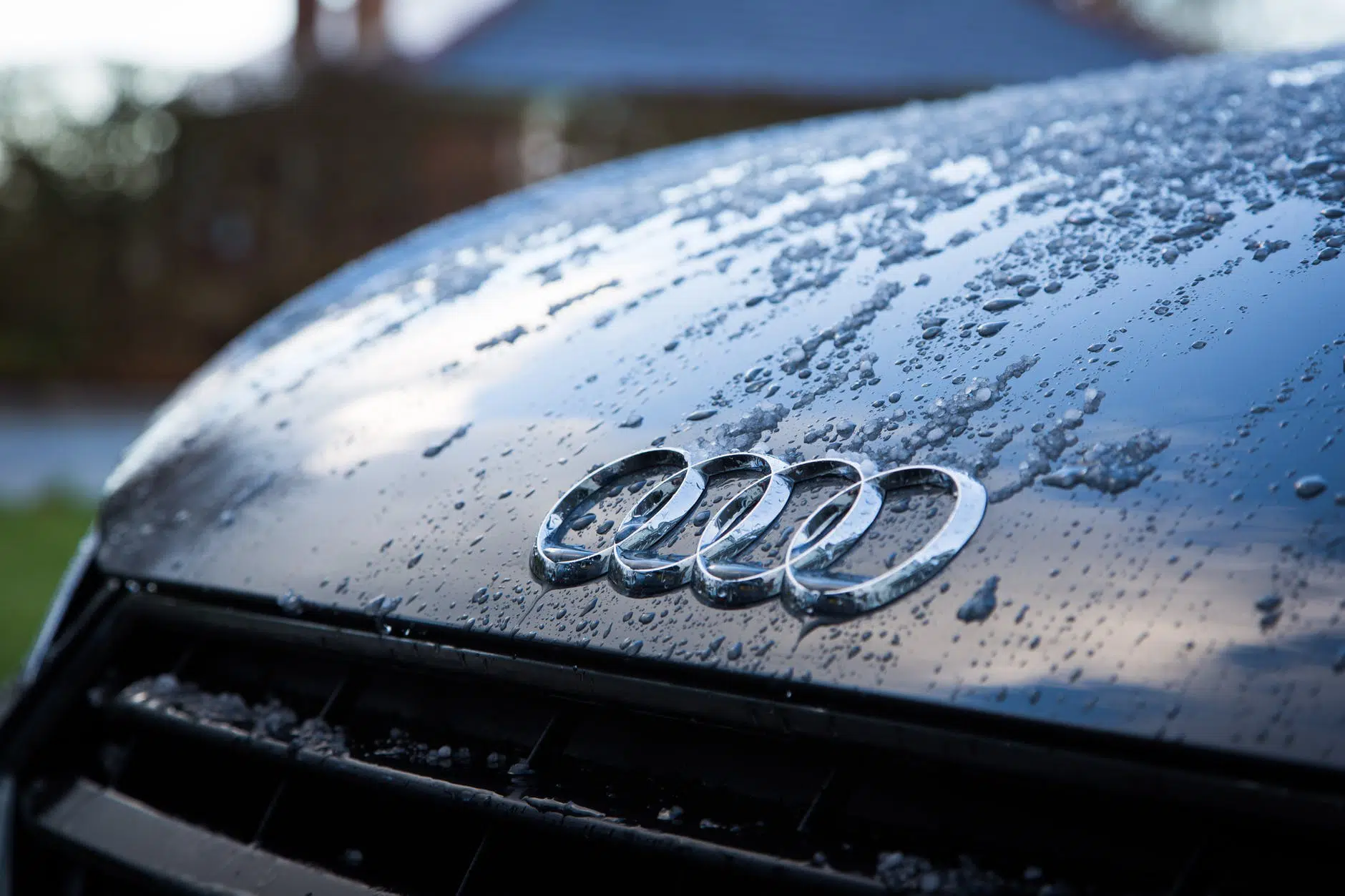 Audi investirá no mercado das picapes e poderá lançar modelo inédito