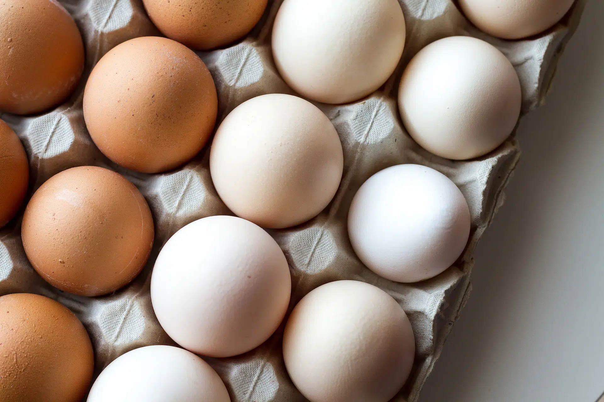 Veja como armazenar e preparar ovos corretamente para evitar intoxicação. (26/03)