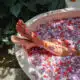 Como fazer um banho de rosas vermelhas