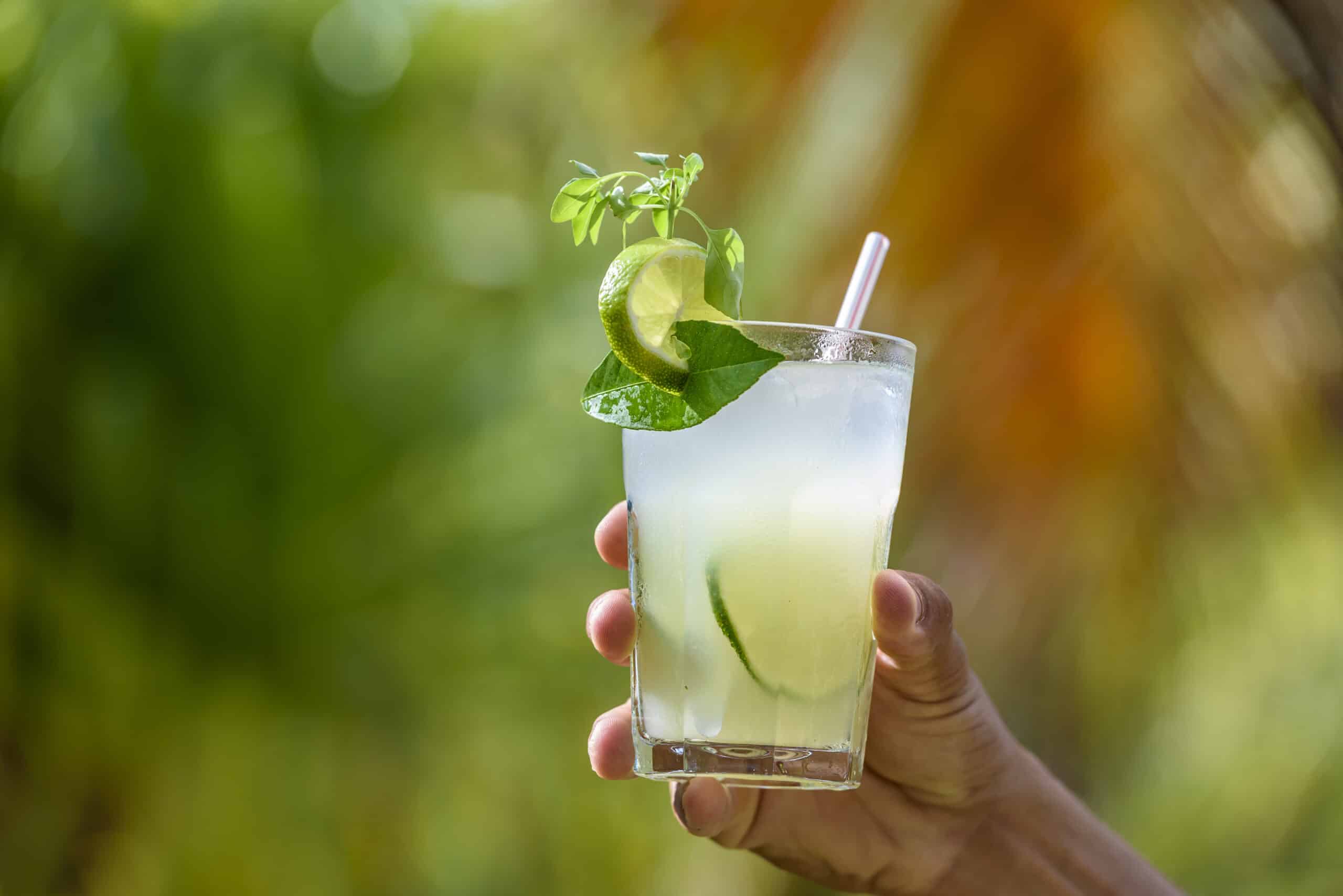 Aprenda a fazer 5 drinks REFRESCANTES e DELICIOSOS com frutas Aprenda a fazer 5 drinks REFRESCANTES e DELICIOSOS com frutas