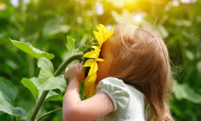 criança cheirando flor