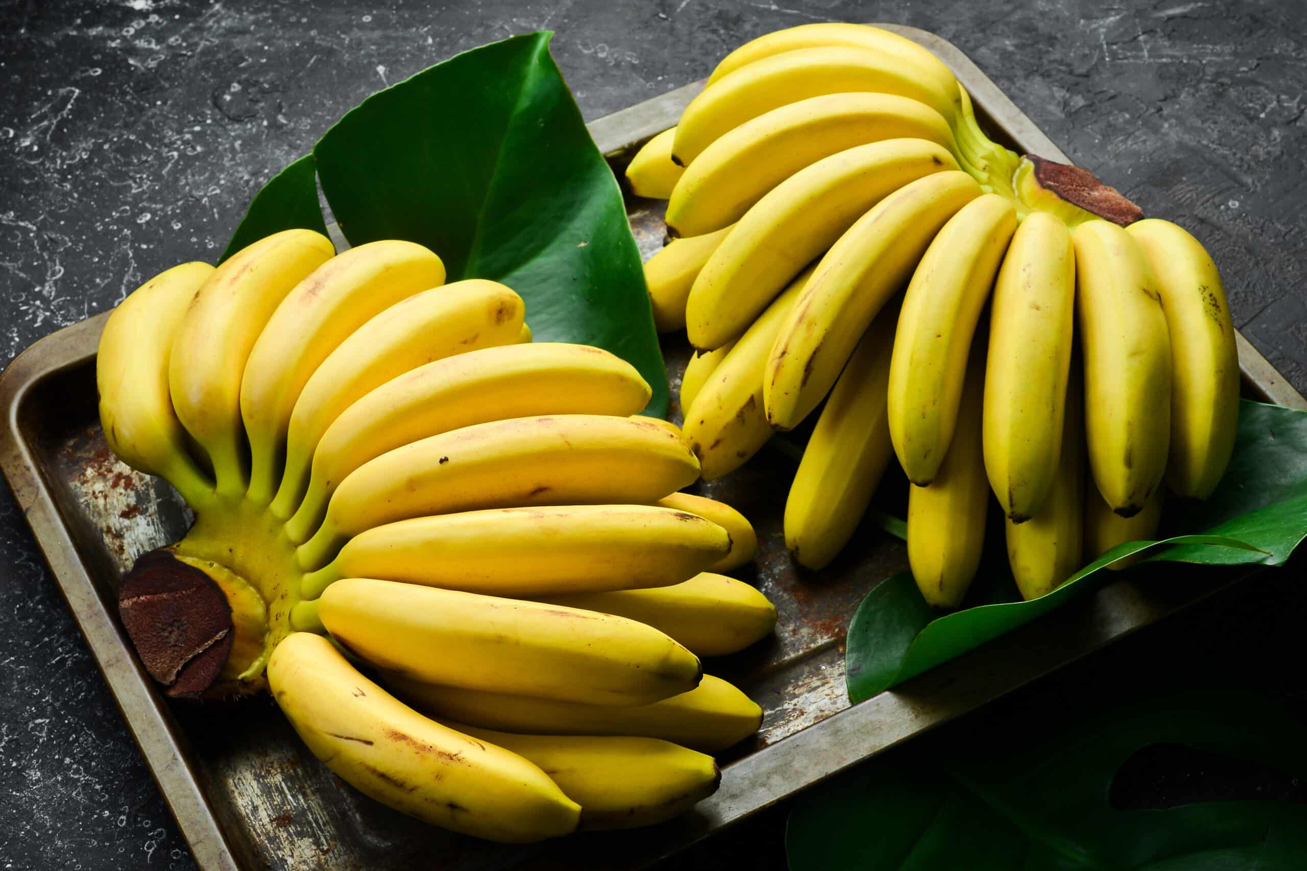 Receitinha sustentável: aprenda a fazer adubo com cascas de bananas