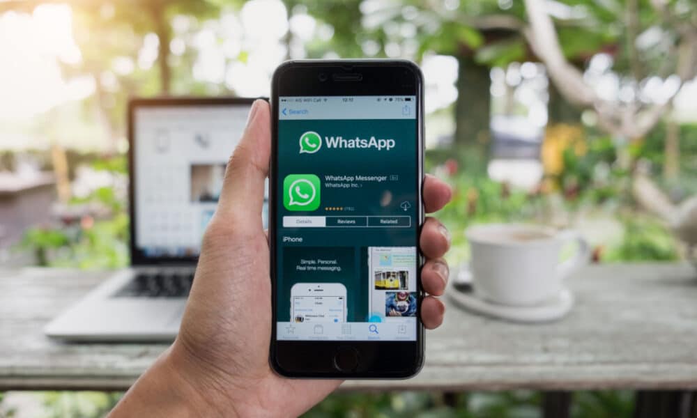 Pensando em deixar o WhatsApp transparente em 2023? Tenha cuidado e opte sempre pela versão oficial