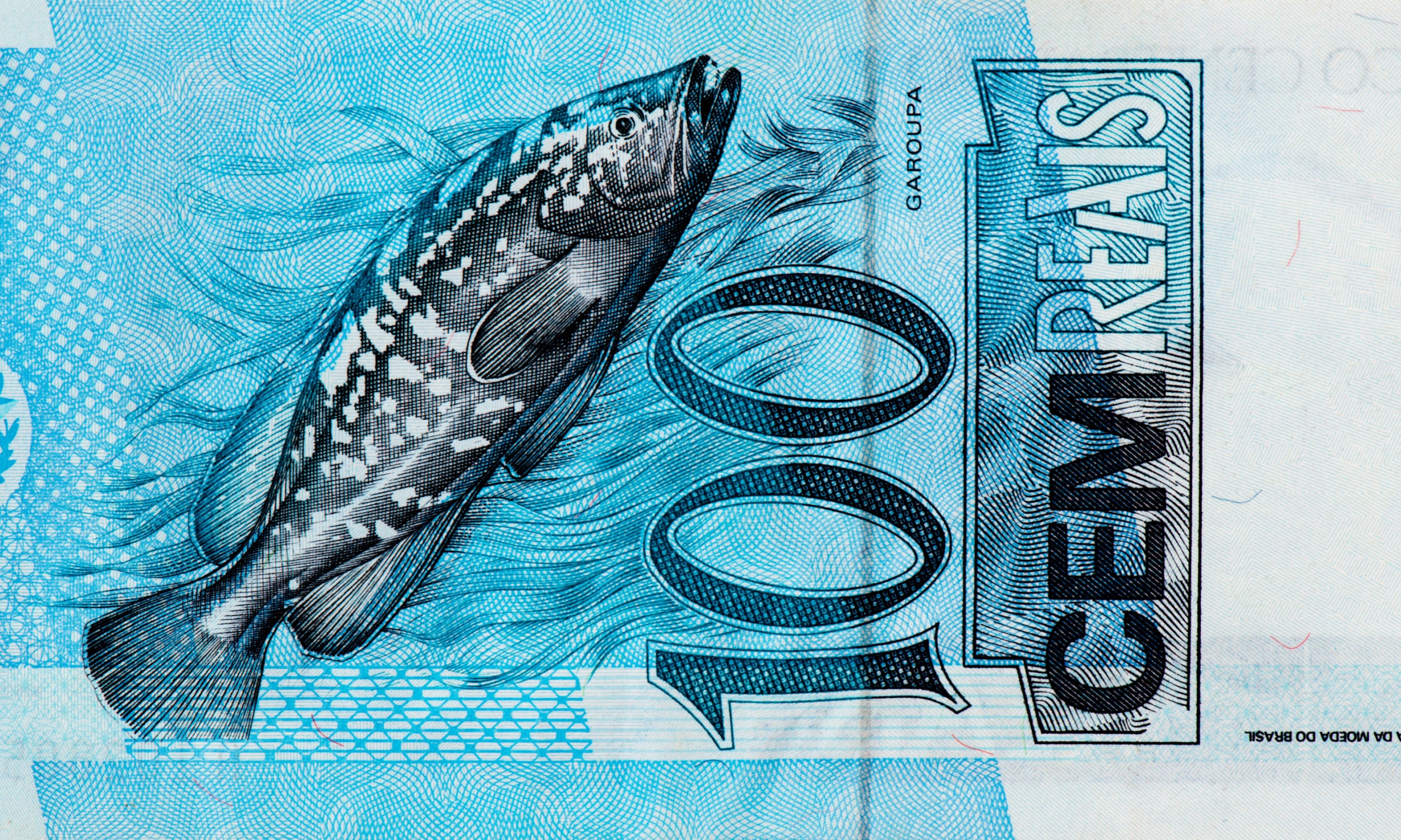 Qual O Significado Do Peixe Na Nota De 100 Descubra A Hist ria Por Tr s