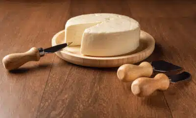 Você sabia que Danoninho na verdade é um queijo com sabor de