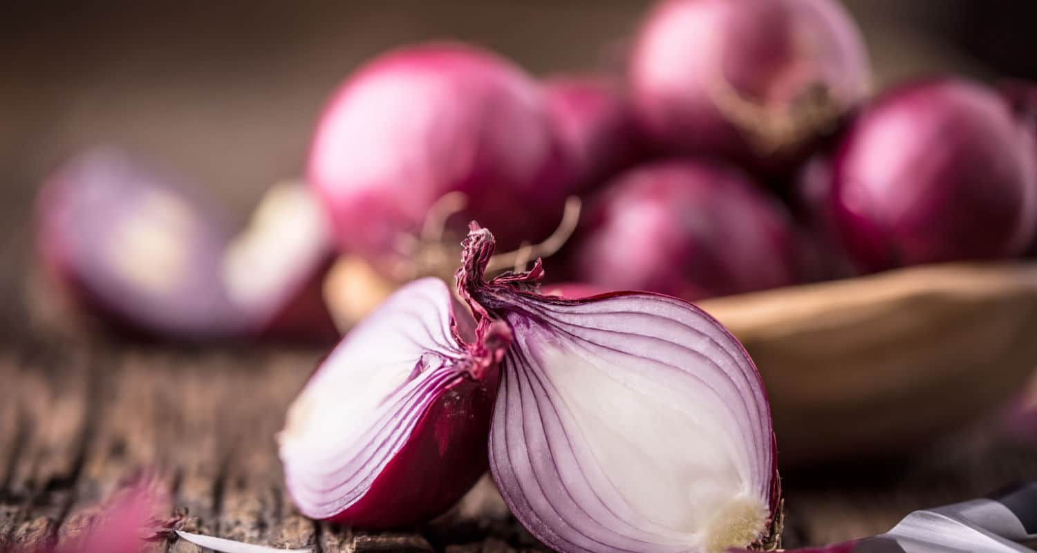 Cebola: De ingrediente comum à superpotência de adubo para suas