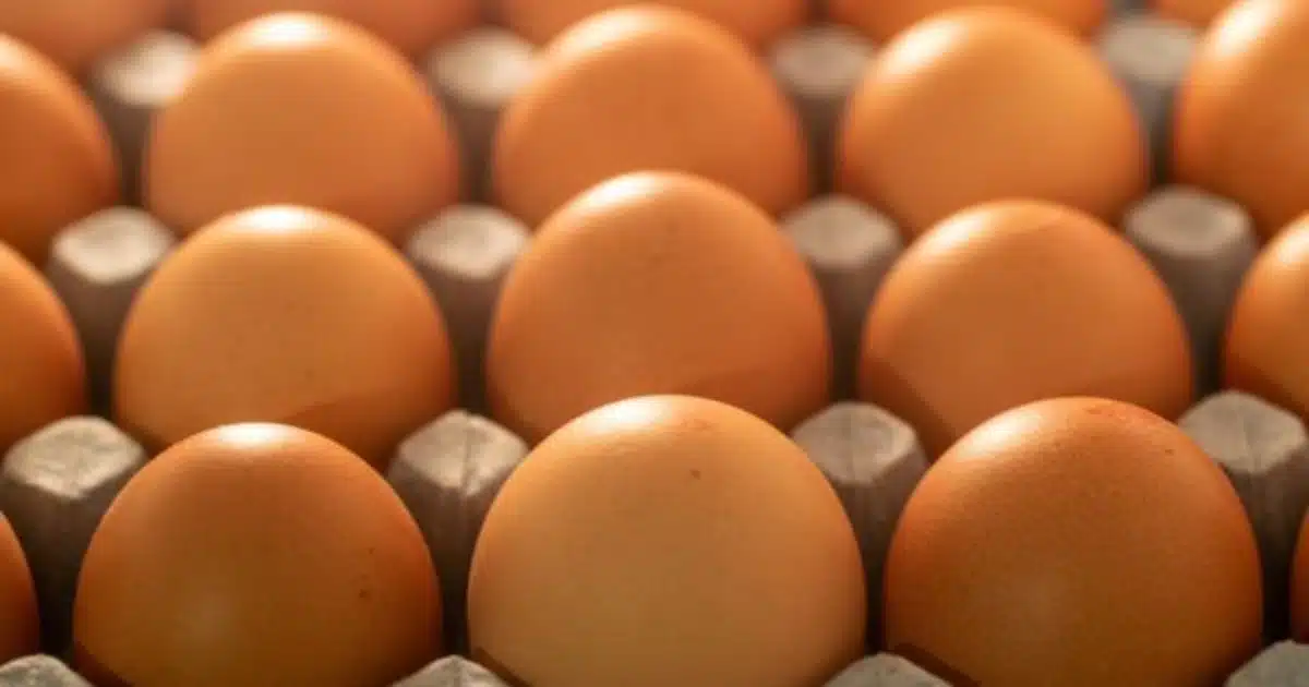Como fazer a higienização correta dos ovos?
