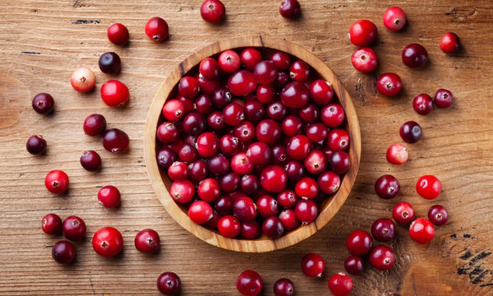 Cranberry: Conheça Os Benefícios Dessa Fruta Incrível