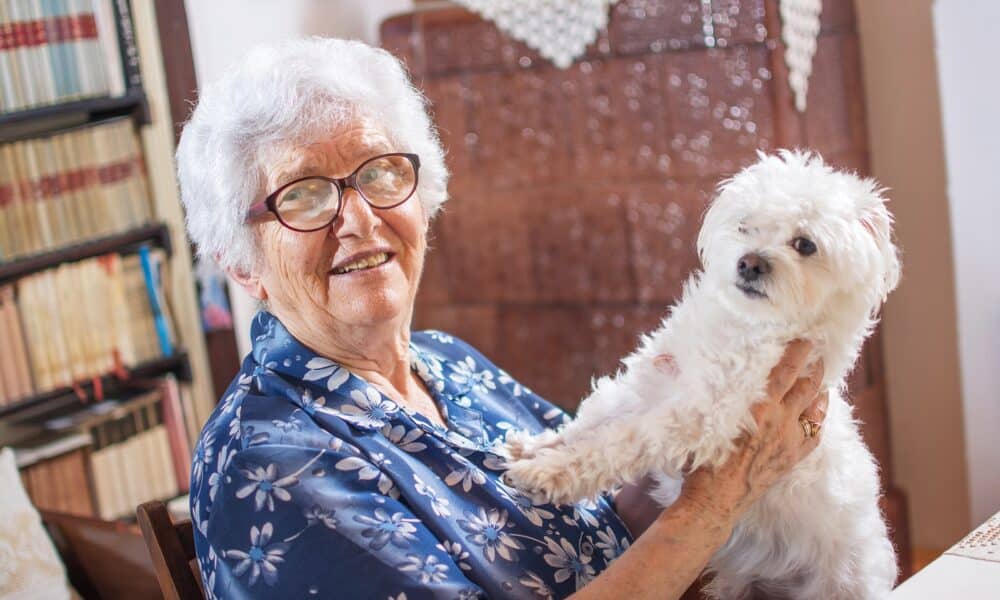 Owning pets helps lonely seniors fight dementia