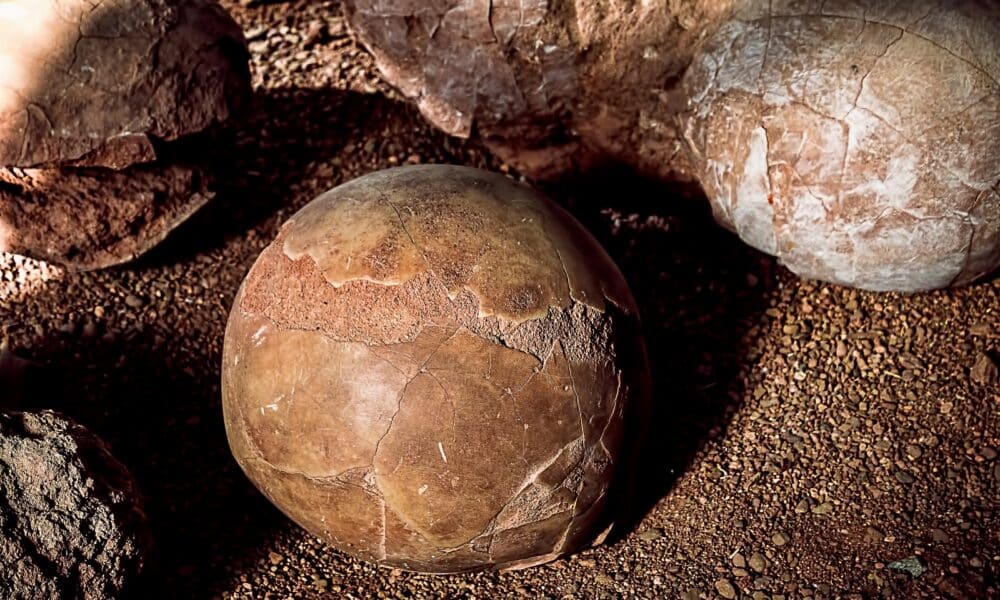 The farmer thinks it is a “dinosaur egg”, but the reality is different.  Understanding ambiguity