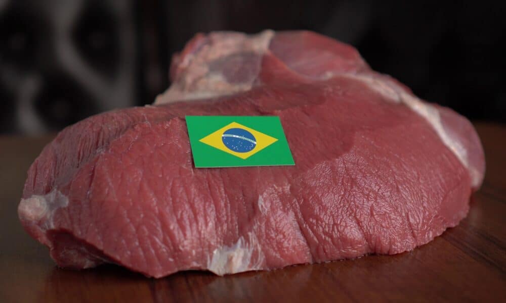 Brazilian meat exports gain strength with Egypt's new policy